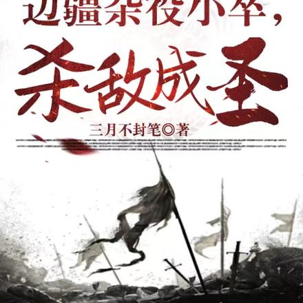 边疆杂役小卒，杀敌成圣