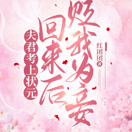 夫君考上状元回来后贬我为妾