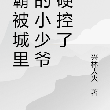 村霸被城里来的小少爷给硬控了
