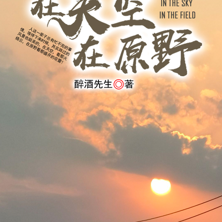 在天空，在原野