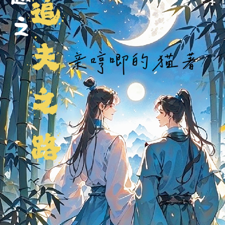 穿越之追夫之路