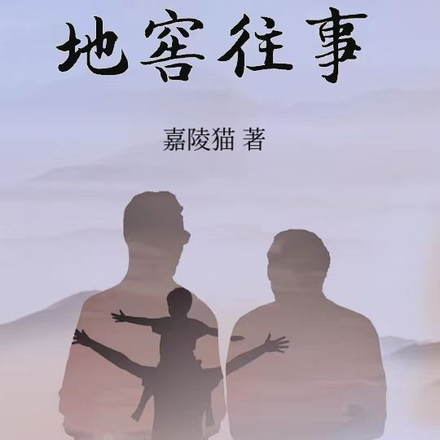 四合院:地窖往事