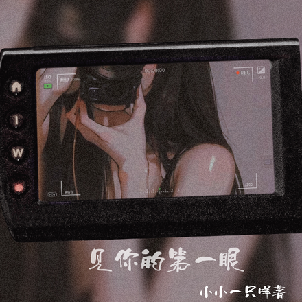 见你的第一眼