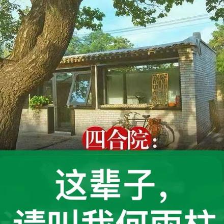 四合院:这辈子,请叫我何雨柱