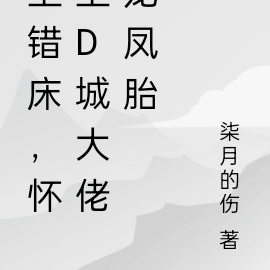 进错房,怀上首富大佬龙凤胎