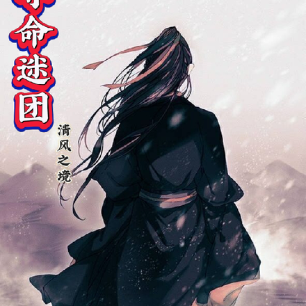 夺命迷团