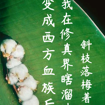 变成西方血族后我在修真界瞎溜达