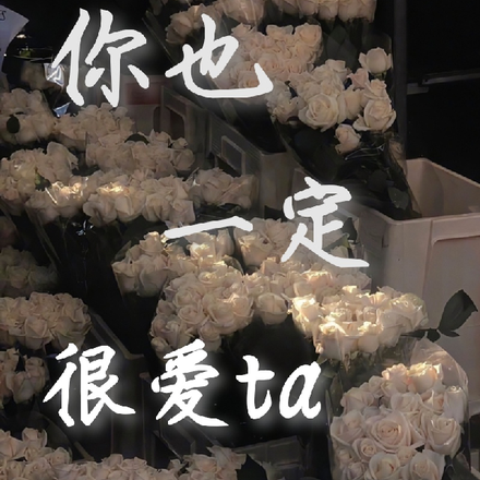 你也一定很爱ta