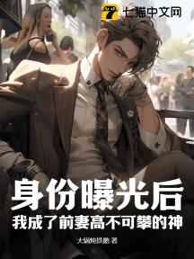 身份曝光后,我成了前妻高不可攀的神