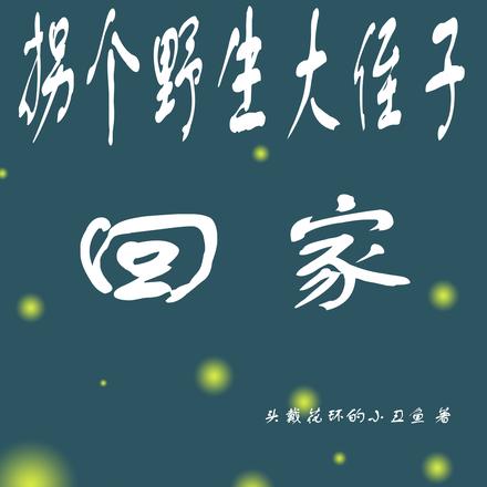 拐个野生大侄子回家