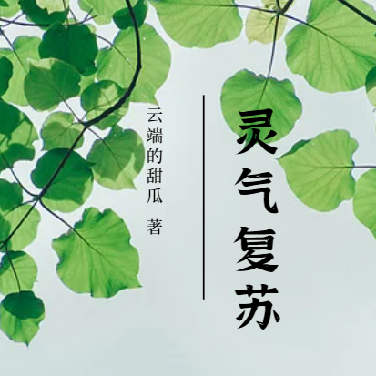 灵气复苏：符医杜若