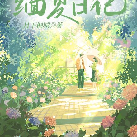 缅夏日记