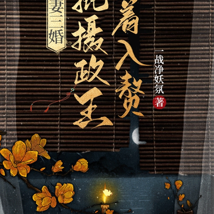 臣妻三婚,疯批摄政王抢着入赘