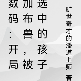 数码:开局加布兽,被选中的孩子
