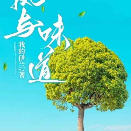 风与味道