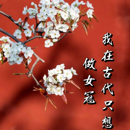 我在古代只想做女冠