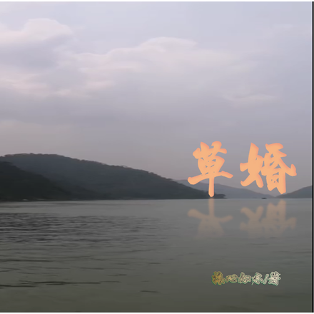草婚