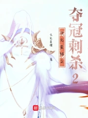 次元星陆之夺冠刺杀2