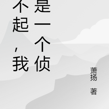 对不起,我只是一个侦探