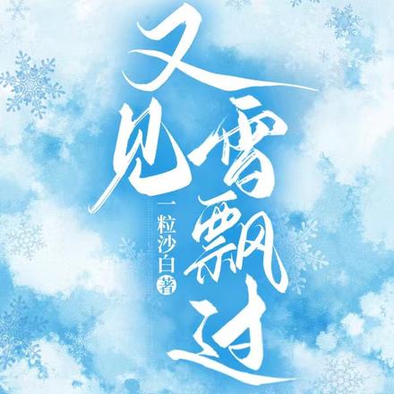 又见雪飘过