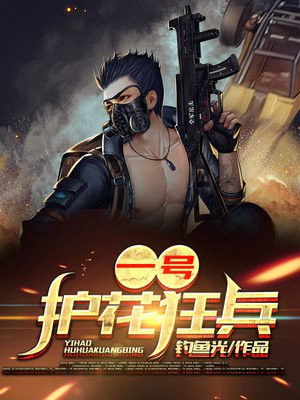 护花狂兵 小说