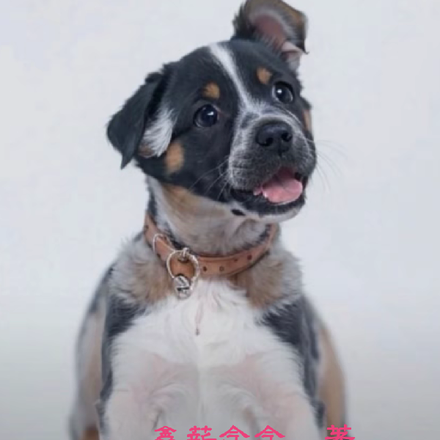 从诛仙开始问道长生