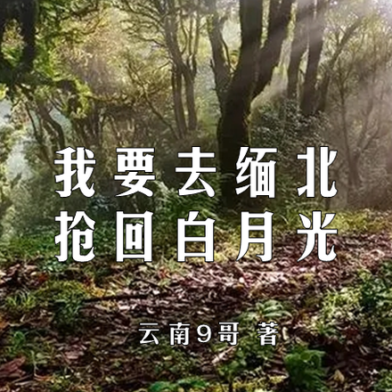 我要去缅北抢回白月光