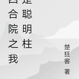 四合院之我是聪明柱