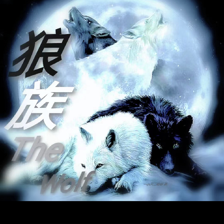 狼族thewolf