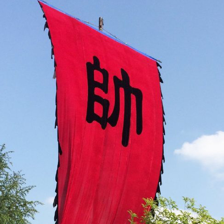 将帅生平