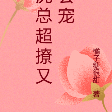 沈总超撩又会宠