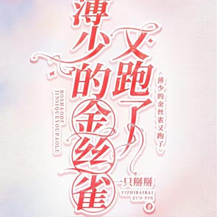 薄少的金丝雀又跑了