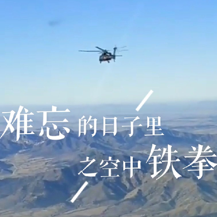难忘的日子里之空中铁拳