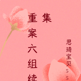 重案六组续集