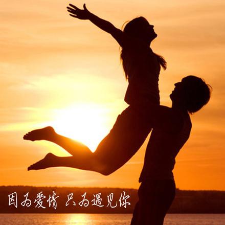 因为爱情只为遇见你