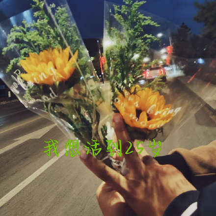 我想活到25岁