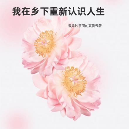 我在乡下重新认识人生