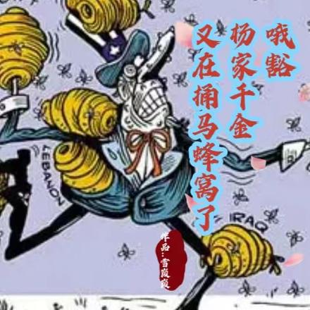 喔嚯，杨家大千金，又在捅马蜂窝