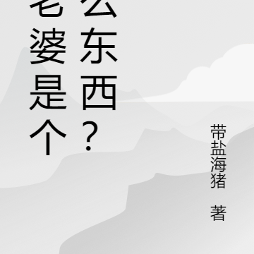 我老婆是个什么东西?