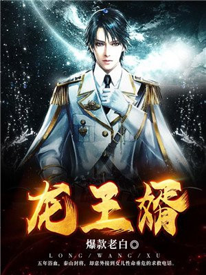 龙王婿免费完结全集