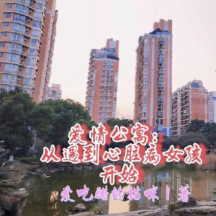 爱情公寓：从遇到心脏病女孩开始