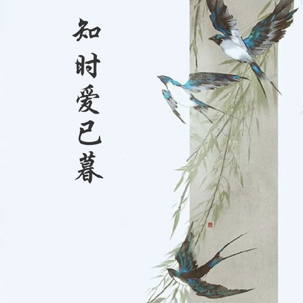 知时爱已暮