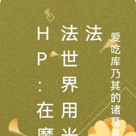 hp：在魔法世界用光法