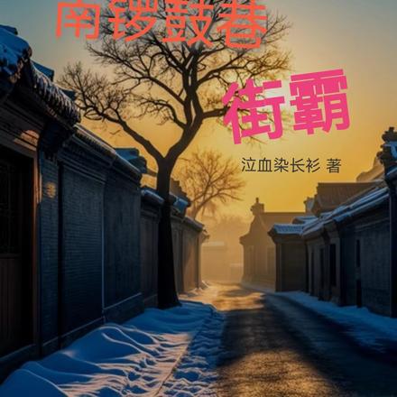 1960:南锣鼓巷街霸