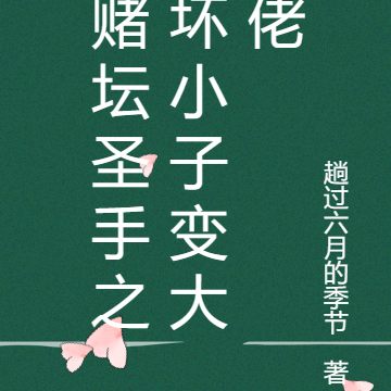赌坛圣手之坏小子变大佬
