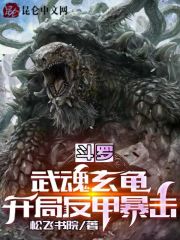 斗罗:武魂玄龟,开局反甲暴击