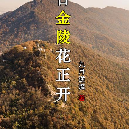 末日金陵花正开