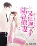 陆总撩妻又犯规了