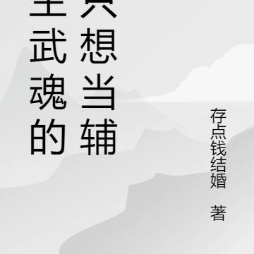 双生武魂的我只想当辅助