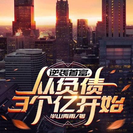 逆袭首富,从负债3个亿开始